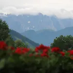Lägenhet Gaestehaus Hausenbauer *